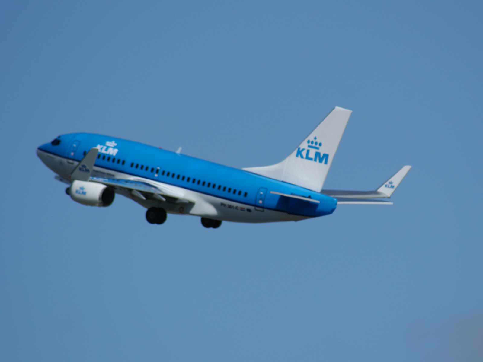 737 RC airliner _ KLM 1.jpg
