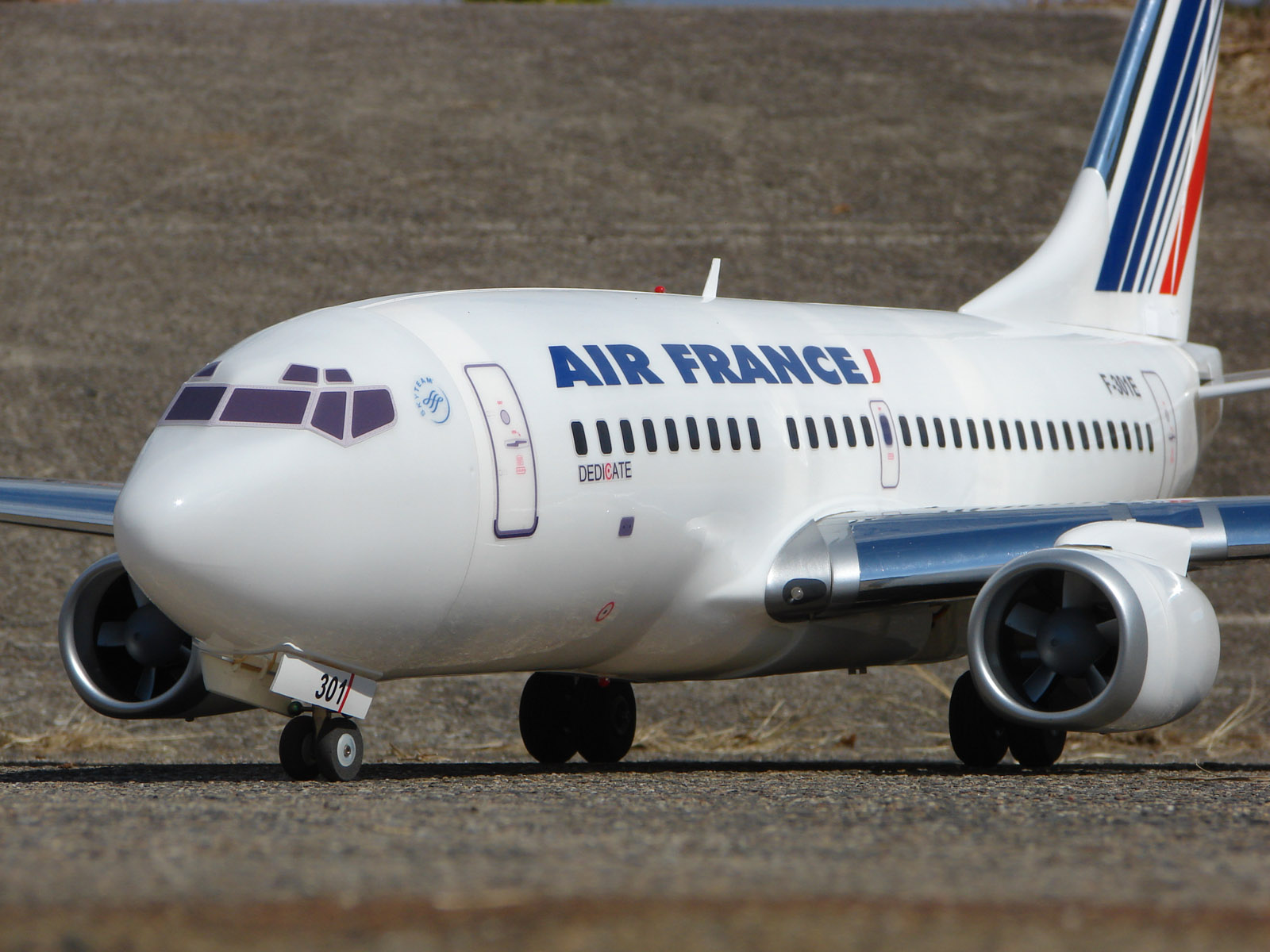 737 RC Plane _ Air France.jpg